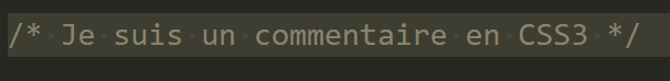 commentaire en CSS