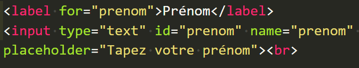 balise input et label